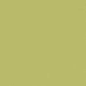 SANDERSON PAINT GREEN ALMOND  70